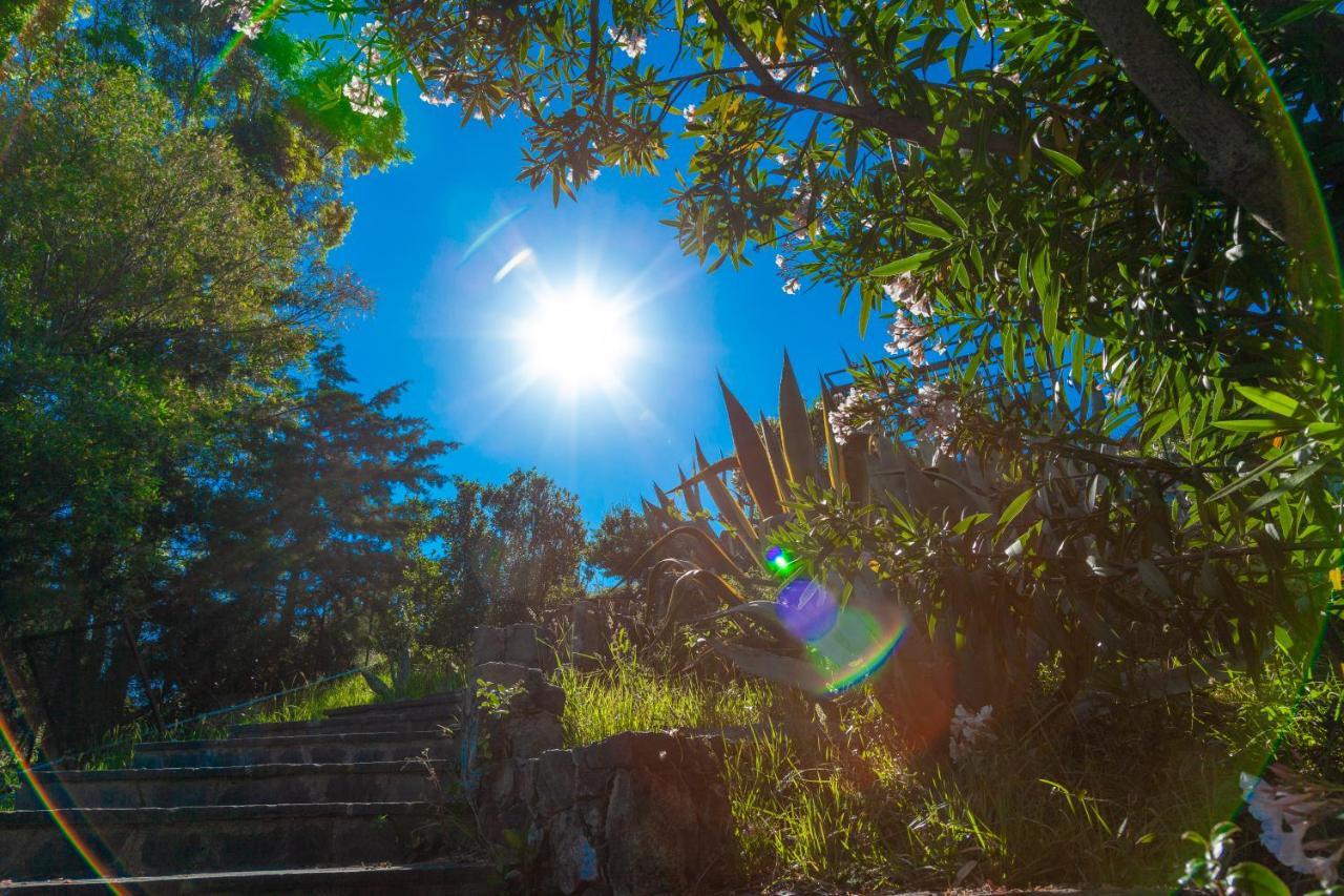 Giardino Sul Mare House - Levanto Sea View Kültér fotó